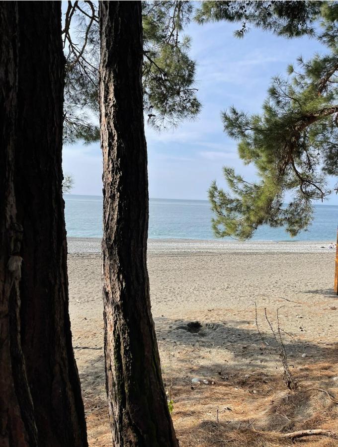 Emili Ξενοδοχείο Πιτσούντα Εξωτερικό φωτογραφία